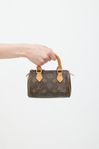 Louis Vuitton Brown Nano Speedy Monogram Bag