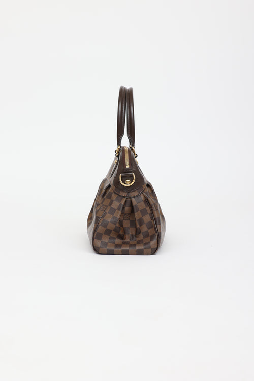 Louis Vuitton Damier Ebene Trevi PM Bag