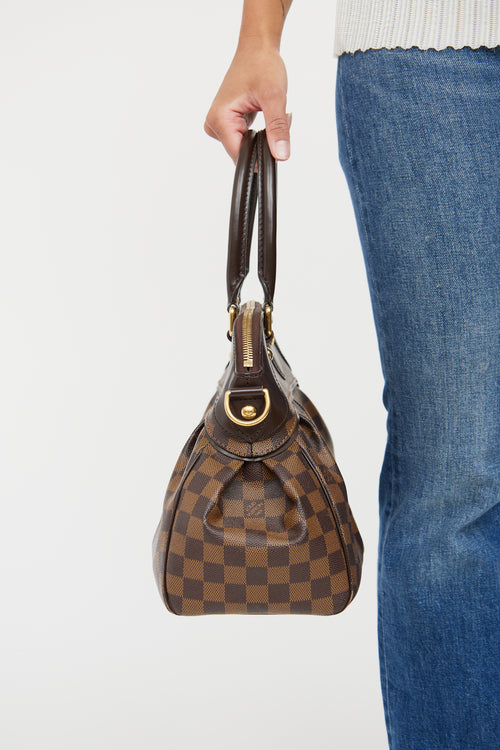 Louis Vuitton Brown PM Damier Ebene Trevi Bag