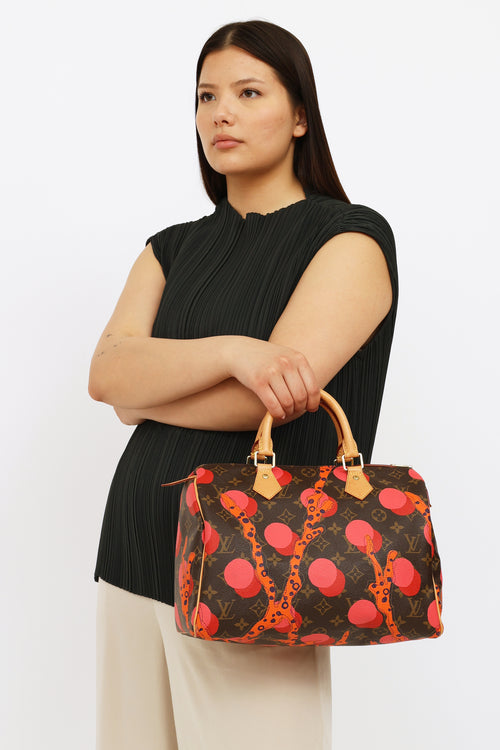 Louis Vuitton 2015 Brown & Multi Monogram Ramages Speedy 30 Bag