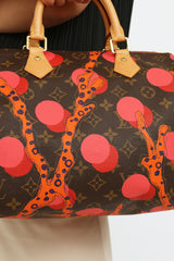 Louis Vuitton 2015 Brown & Multi Monogram Ramages Speedy 30 Bag