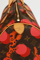 Louis Vuitton 2015 Brown & Multi Monogram Ramages Speedy 30 Bag