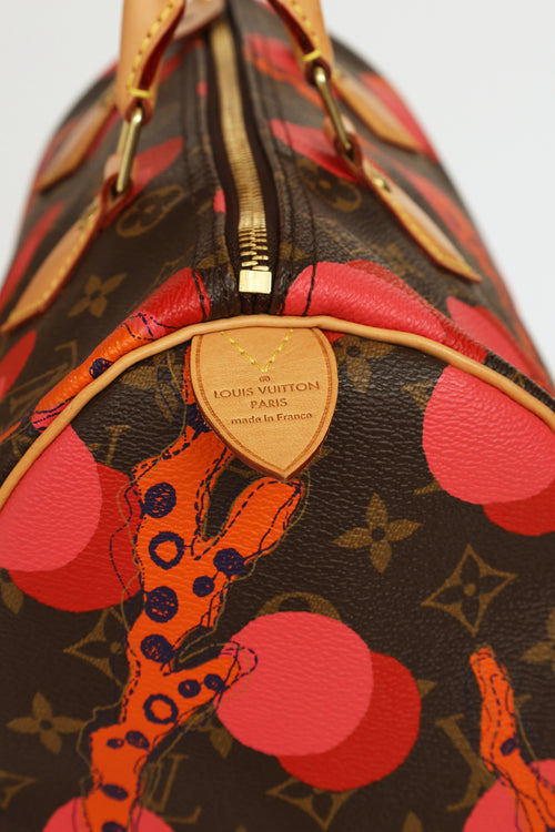 Louis Vuitton 2015 Brown & Multi Monogram Ramages Speedy 30 Bag