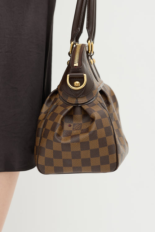 Louis Vuitton Damier Ebene Trevi PM Bag