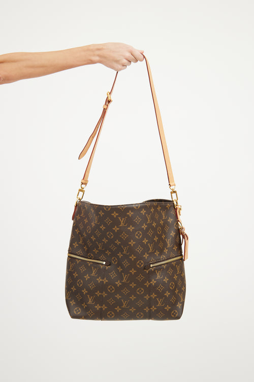 Louis Vuitton Brown Monogram Meile Bag