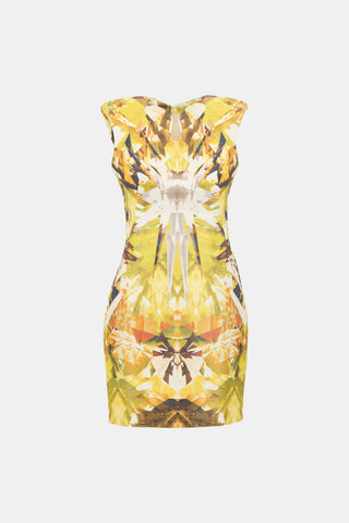 Alexander McQueen SS 2009 Crystal Printed Dress