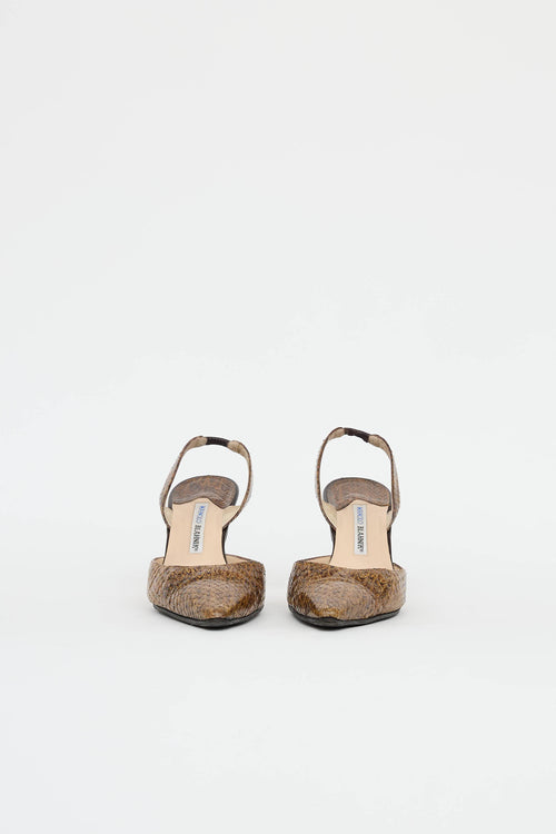Manolo Blahnik Exotic Slingback Pump