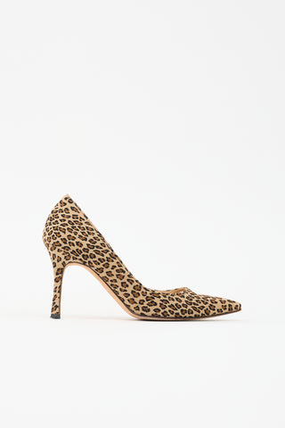 Manolo Blahnik Suede BB Pump