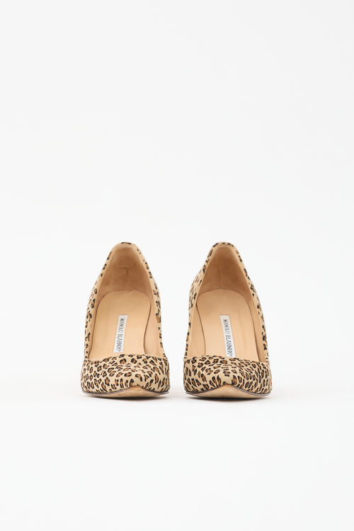Manolo Blahnik Suede BB Pump