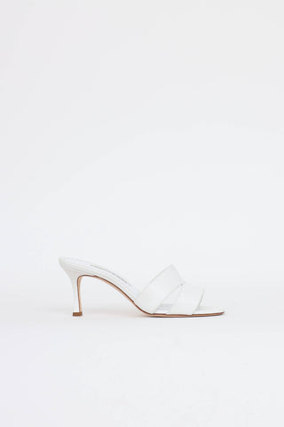 Manolo Blahnik Iacopo 70 Mule