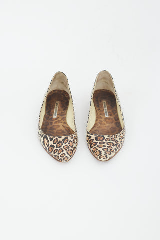 Manolo Blahnik Brown & Black Printed Leather Flat
