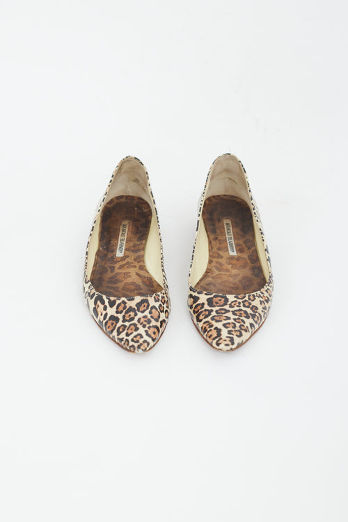 Manolo Blahnik Brown & Black Printed Leather Flat