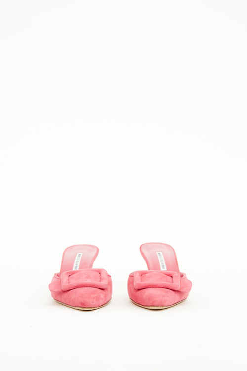 Manolo Blahnik Pink Buckle Maysale Mule