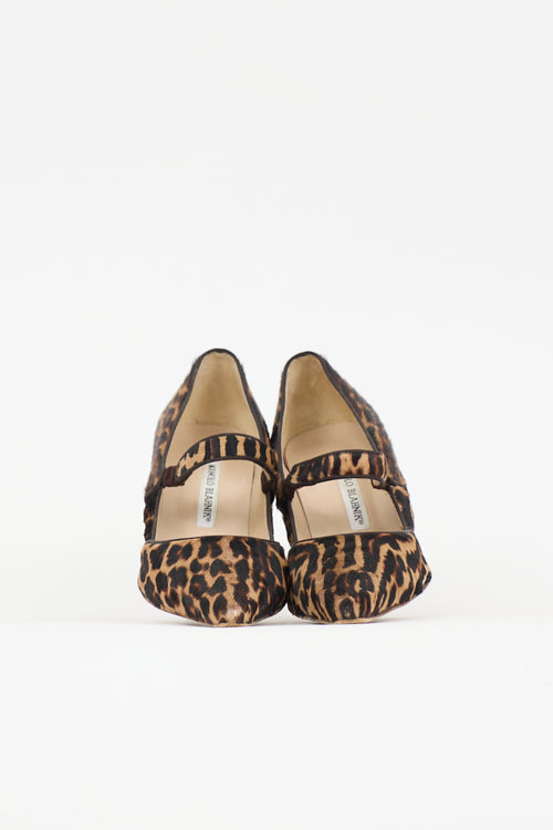 Manolo Blahnik Printed Hair Campari Pump