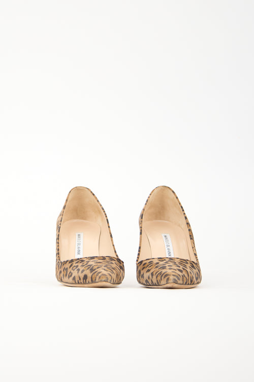 Manolo Blahnik Printed Suede BB Pump