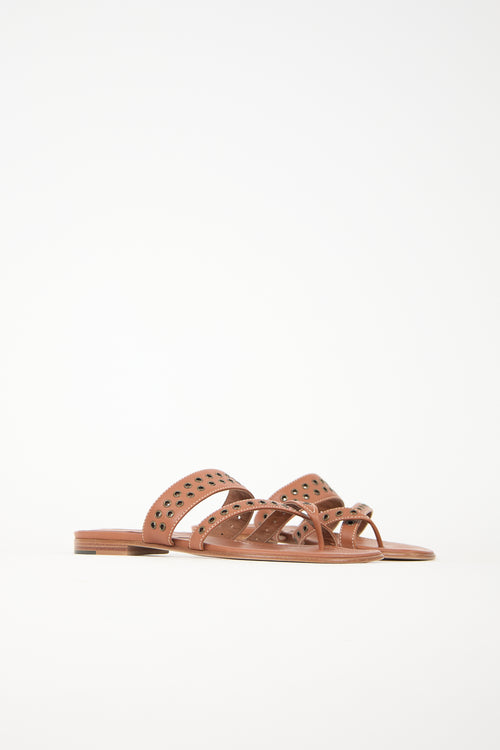 Manolo Blahnik Susaocc Sandal