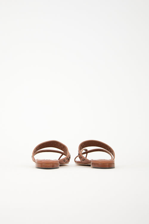 Manolo Blahnik Susaocc Sandal