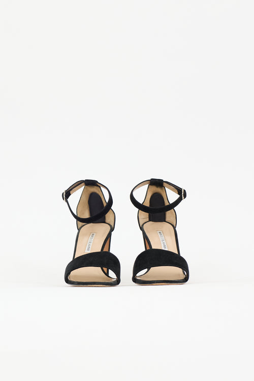 Manolo Blahnik Suede Lauratopri Sandal