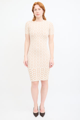 Alexander McQueen White & Beige Floral Knit Dress