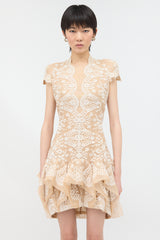 McQueen Resort 2011 Lace Dress