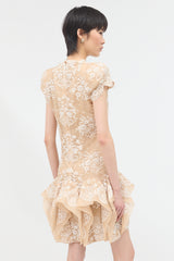 McQueen Resort 2011 Lace Dress