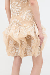 McQueen Resort 2011 Lace Dress