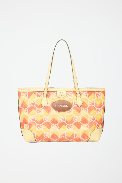 Gucci Leather & Raffia GG Cancun Ophidia Bag