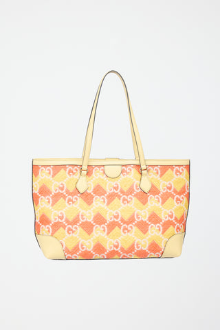 Gucci Leather & Raffia GG Cancun Ophidia Bag