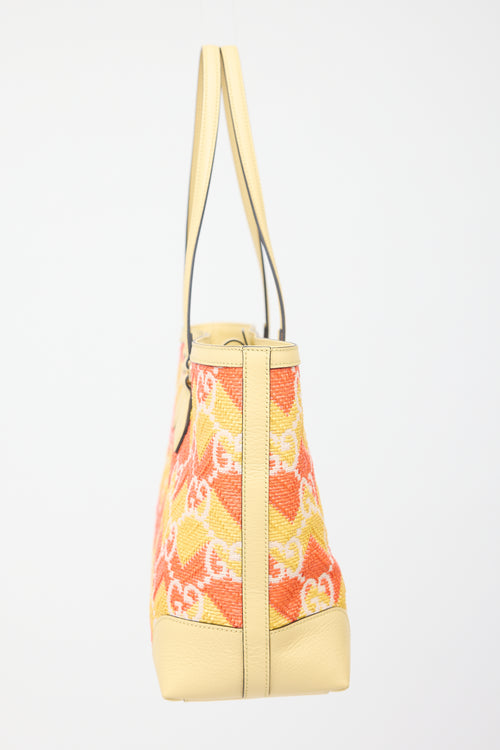 Gucci Leather & Raffia GG Cancun Ophidia Bag