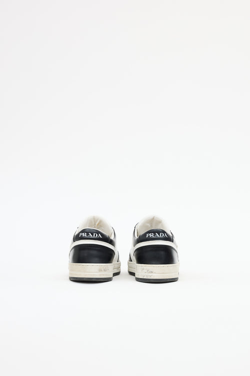 Prada Leather Downtown Sneaker
