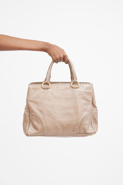 Brown Leather Vitello Shine Bag