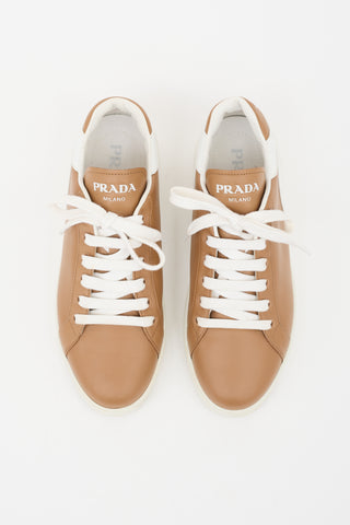 Prada Leather Low Top Sneaker
