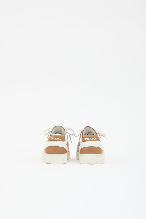 Prada Leather Low Top Sneaker