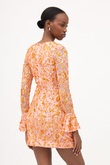 Rachel Gilbert Mesh Embellished Lupita Dress
