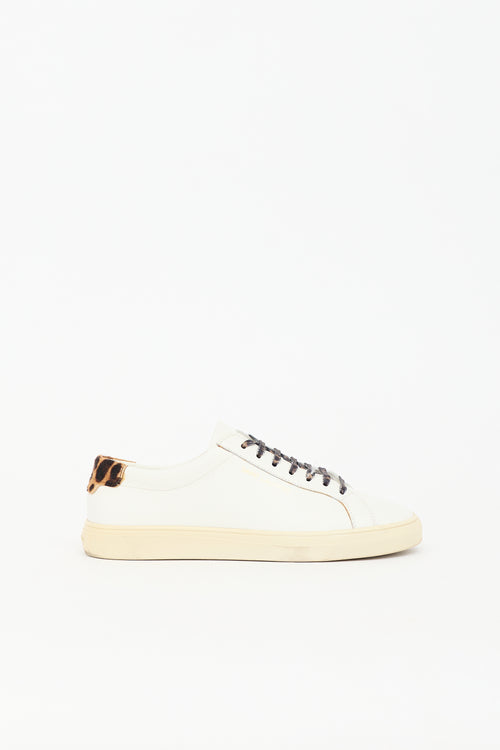 Saint Laurent Leather Andy Sneaker