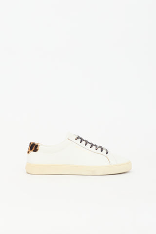 Saint Laurent Leather Andy Sneaker