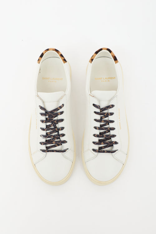 Saint Laurent Leather Andy Sneaker