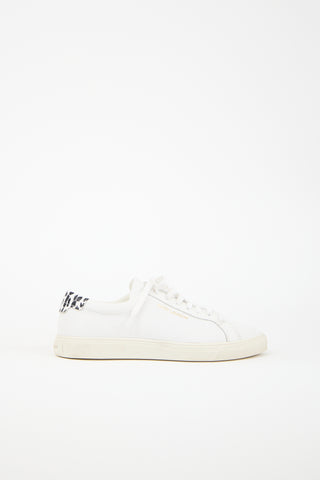 Saint Laurent Leather Andy Low Sneaker