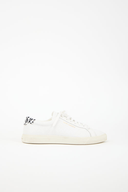 Saint Laurent Leather Andy Low Sneaker