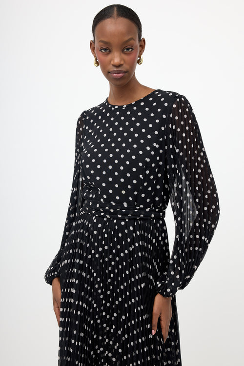 Zimmermann Sheer Pleated Polka Dot Dress