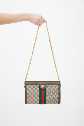 Gucci Brown Ophidia GG Small Shoulder Bag