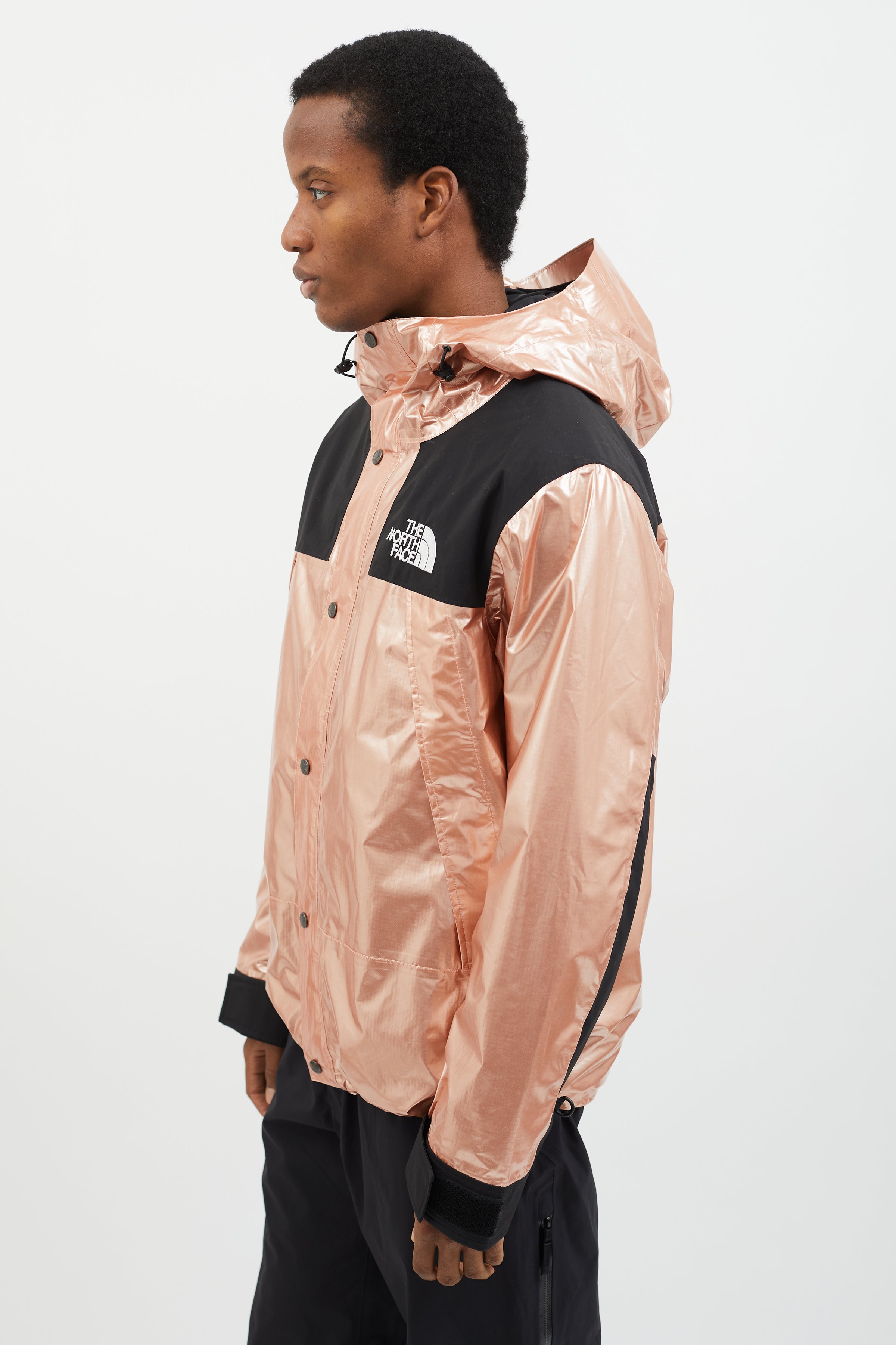 Ss18 Supreme x The North Face 'Metallic' Mountain Parka Jacket — The Pop-Up