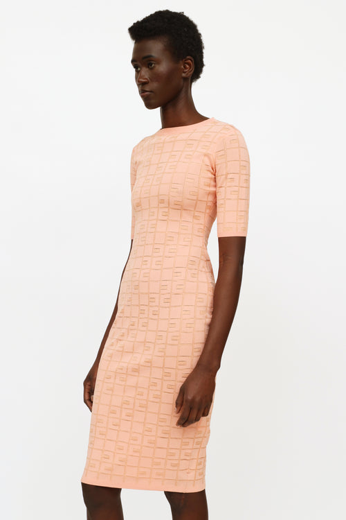 Elisabetta Franchi Pink Knit Pattern Dress