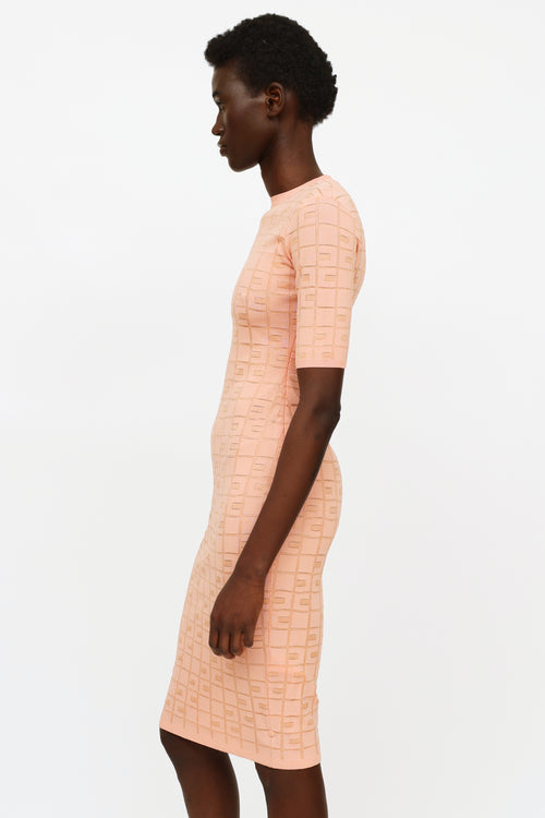 Elisabetta Franchi Pink Knit Pattern Dress